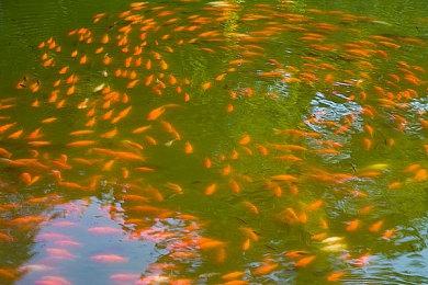 SIE遭前员工性别歧视指控 恐变成集体诉讼