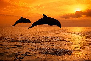 E3 2021：末日航行冒险游戏《远方：变潮》发布